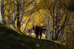 Mountainbiken im Tessin - wunderschöner Herbstwald