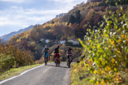 Mountainbiken im Tessin - gemütlicher Uphill