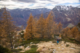 Mountainbiken im Tessin - Herbststimmung im Aufstieg